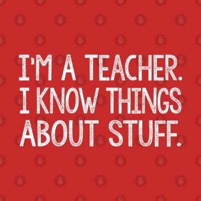 Im A Teacher I Know Things About Stuff Pin Official Teacher Merch